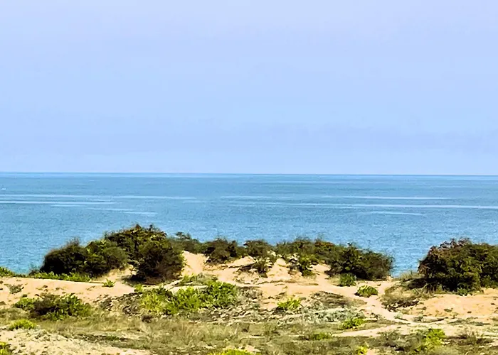 Private Stamopolu Lux מלון דירות פרימורסקו